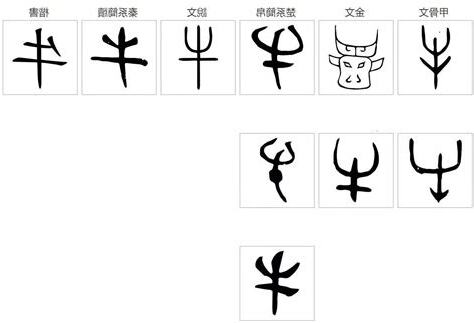 牛 古字